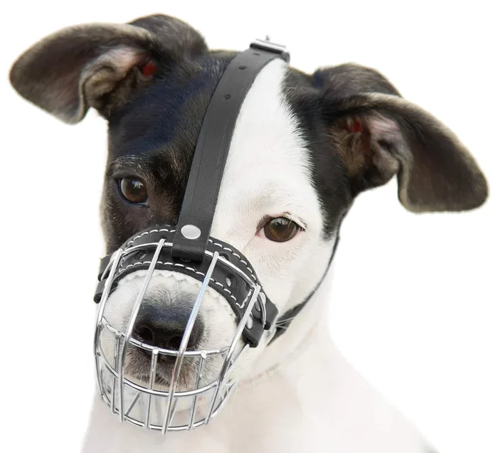 ?0.5 Dog Chrome Metal Muzzles Wire Basket Adjustable Leather Straps ?Ircumference Is 6.6-8.2 In The Length Is 1.9-2.3 In