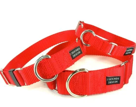 1″ Wide Solid Color Buckle Collar