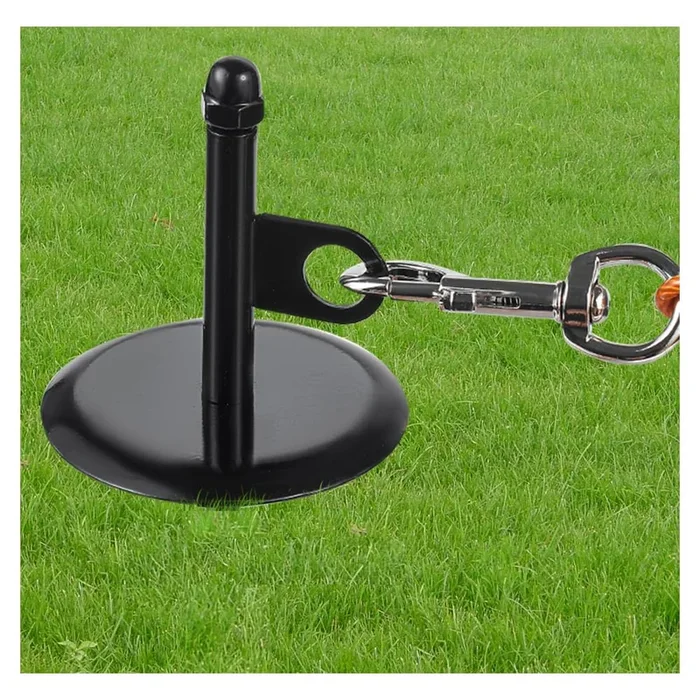 16Dog Tie-Out Stake, Durable Silver Spiral Anchorstake, Secure Outdoor Tethering for All Cable Leash Chain, Camping Yard, Rust