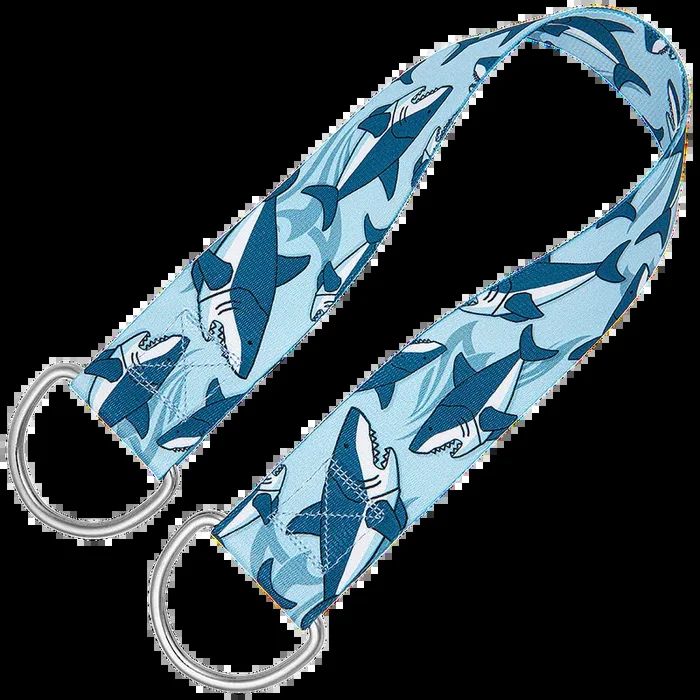 25″ Belly Band Blue Shark by Groom Loop