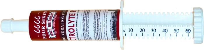 6666 Electrolyte Paste (Pack Of 12)