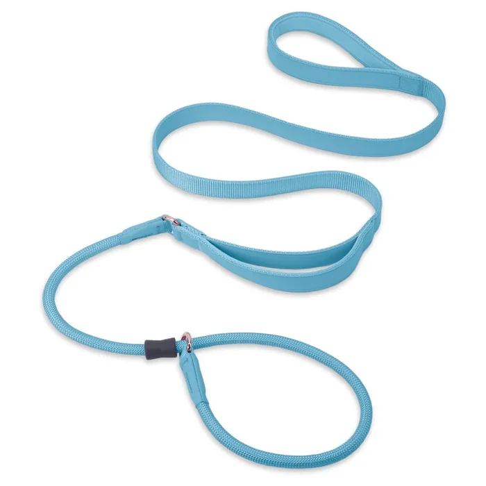 Aaufilux Slip Lead Dog Leash, Double Handle, Soft Leather, Heavy Duty Nylon, No Pull Walking, 5Ft Light Blue