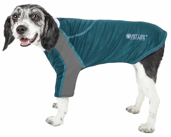 Active Chewitt Wagassy 4-Way Stretch Performance Long Sleeve Dog T-Shirt, Teal – Extra Small