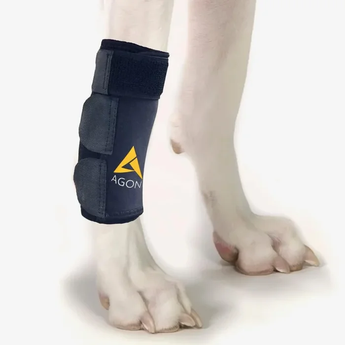Agon Dog Canine Front Leg Brace Paw Compression Wraps with Protects Wounds Brace Heals and Prevents Injuries and Sprains Helps w