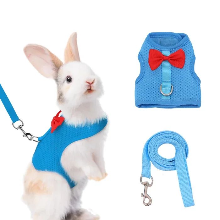 AIITLE Bunny Harness and Leash Set with Cute Bow, Soft Breathable Mesh Vest Harness for Rabbits Kitten Ferret Small Pig Puppy Wa
