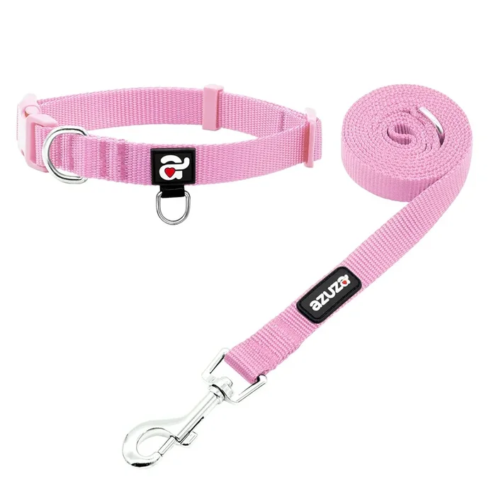 Azuza Nylon Dog Collar And Leash Set, Strong & Durable Basic Style Leash With Easy To Use Collar Hook, Available In Multiple Lengths For Puppy And Small Dogs, Pink,Xs