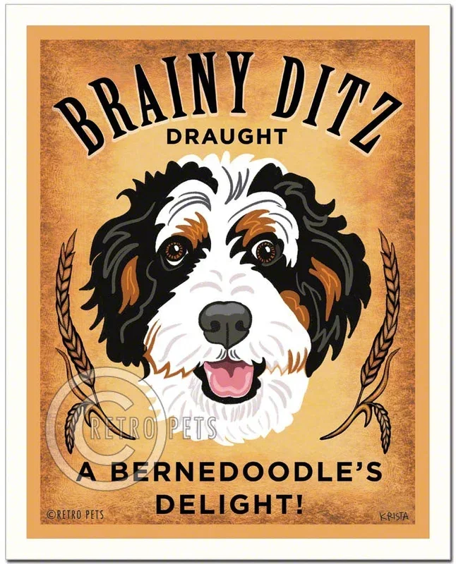 B-131 8×10 Art Print, Bernedoodle “Brainy Ditz”