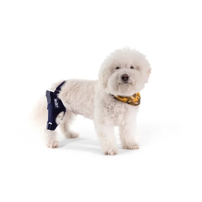 Balto Jump CCL Brace – Dog Knee Brace with Aluminum Splints – Pre/Post Surgery Support Helps Prevent New Injuries – Right Leg, M