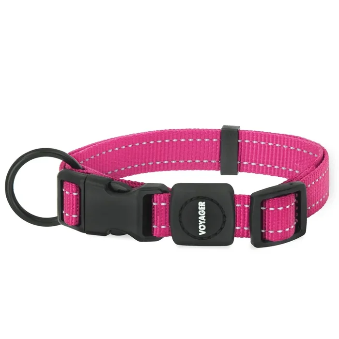 Best Pet Supplies Reflective Dog Collar With Adjustable Length, Heavy-Duty Buckle, And Strong Leash D-Ring, Training, Walking, Jogging Accessory For Small, Medium, And Large Breeds – Fuchsia, M