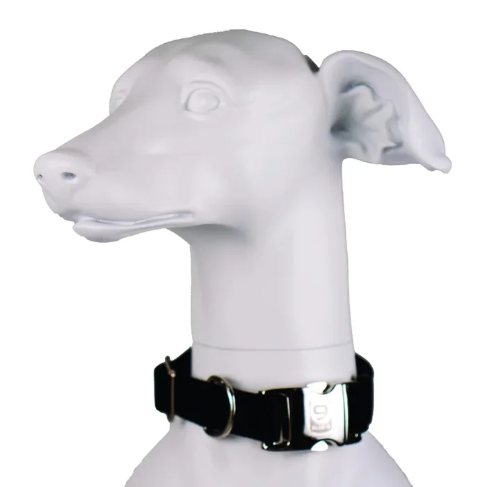 Blue-9 Secure Pro Dog Collar For Obedience, Training, And Identity, Durable And Adjustable Collar With Metal Buckle Dogs, Made I