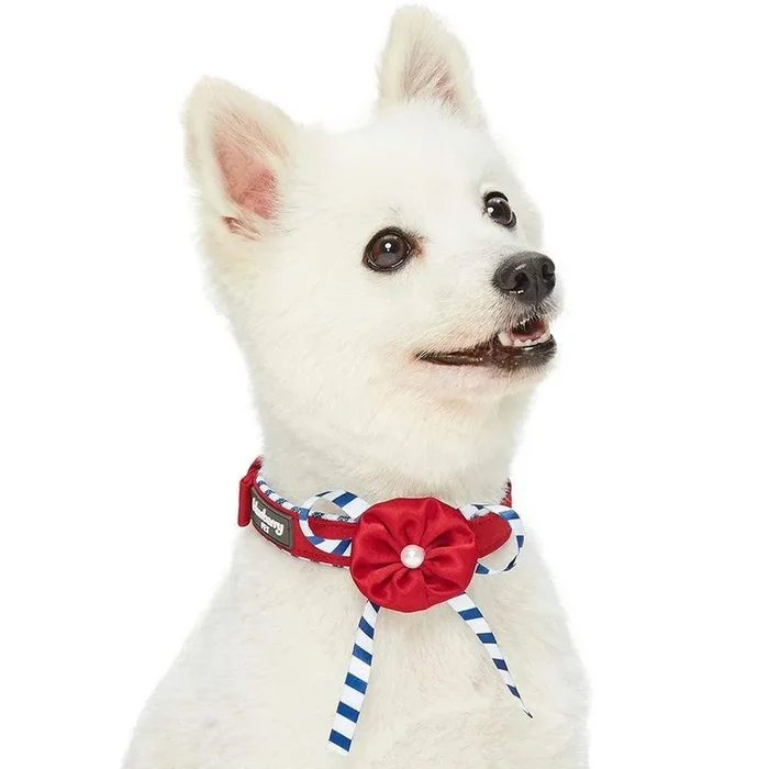Blueberry Pet 4 Patterns Bon Voyage Sea Lover Adjustable Dog Collar In Timeless Red, Neck 13-16.5, For Medium Breed