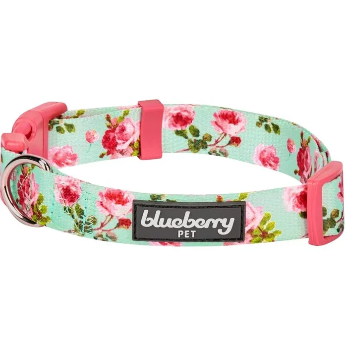Blueberry Pet 7 Patterns Spring Scent Inspired Floral Rose Print Turquoise Adjustable Dog Collar, X-Small, Neck 8′-11′
