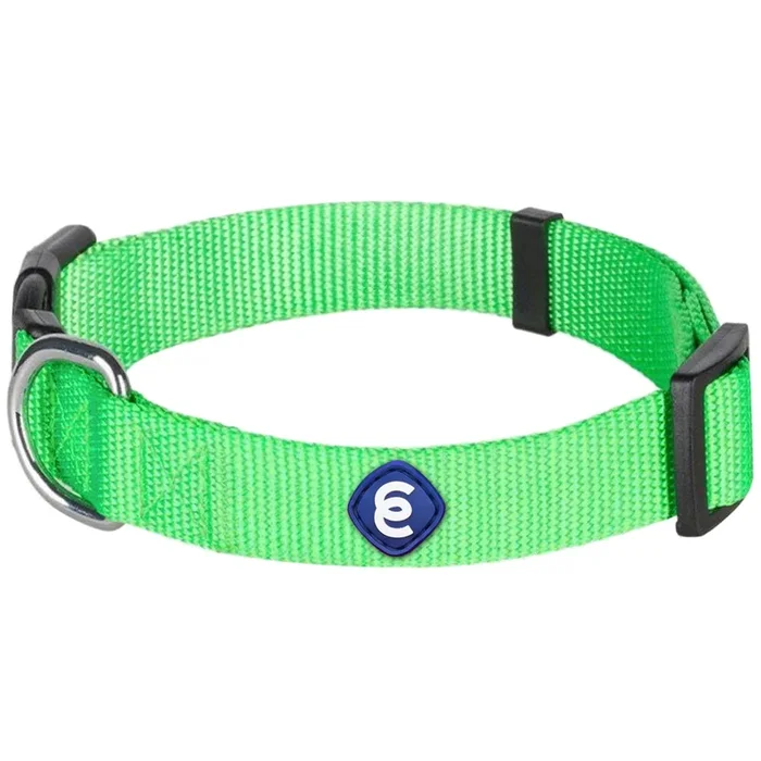 Blueberry Pet Essentials Dog Collar | Adjustable Girl Dog Collars For Medium Dogs | Neon Green Puppy Collar | Classic Nylon Dog