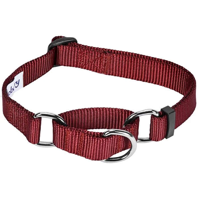 Blueberry Pet Essentials Martingale Safety Training Dog Collar, Fired Brick, Large, Heavy Duty Nylon Adjustable Collars For Dogs