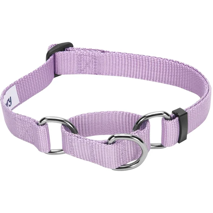 Blueberry Pet Essentials Martingale Safety Training Dog Collar, Lavender, Large, Heavy Duty Nylon Adjustable Collars For Dogs