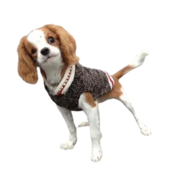 Boyfriend Dog Sweater (Xx-Small)