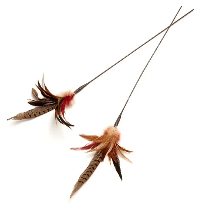 Cat Teaser – WILD THING – 36″