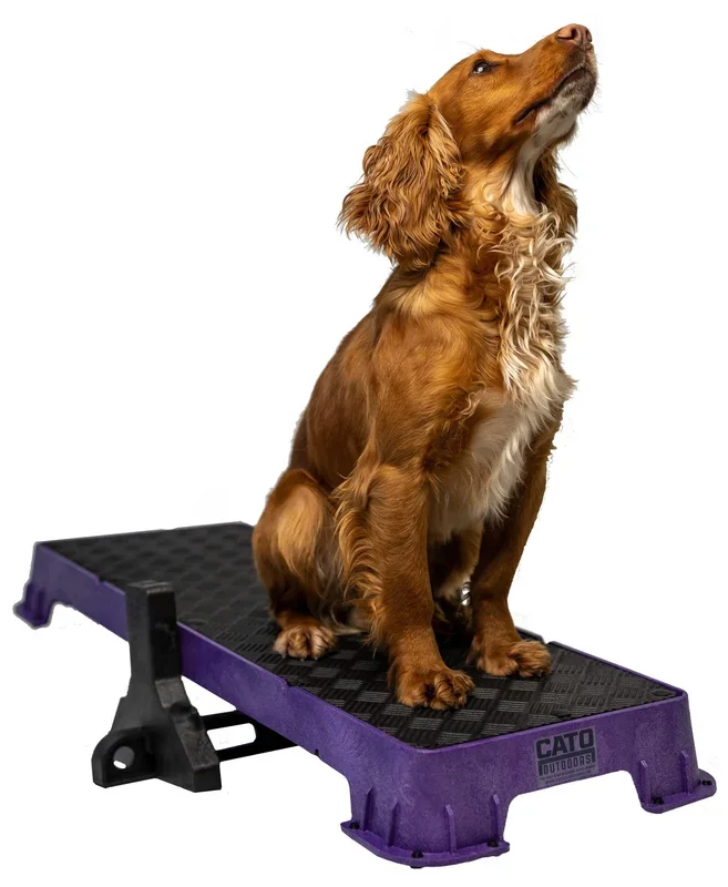 Cato Board Xl – Dog Platform (Purple, With Tilt Stand)