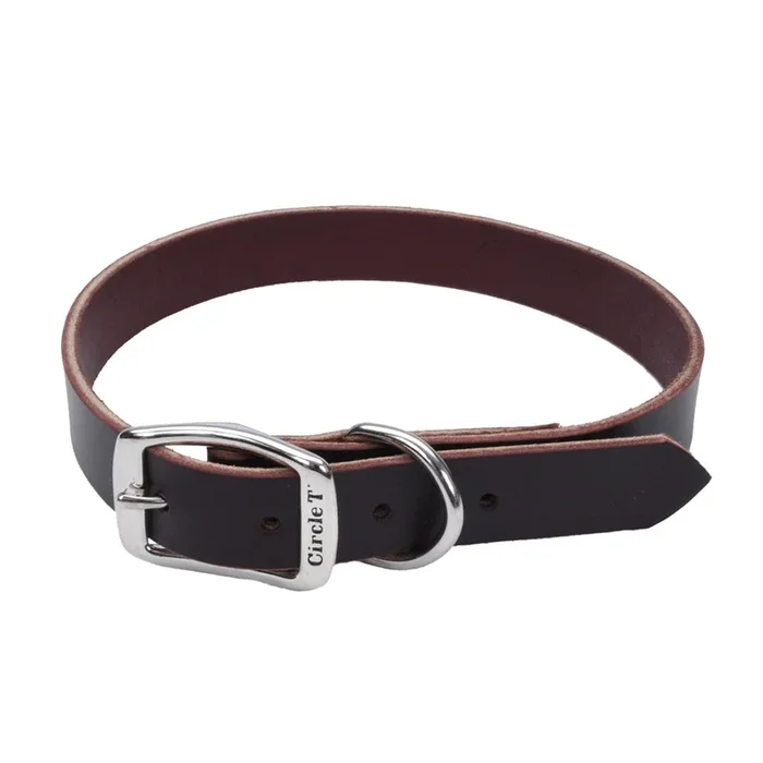 Circle T® Latigo Leather Town Dog Collar, Medium 18″
