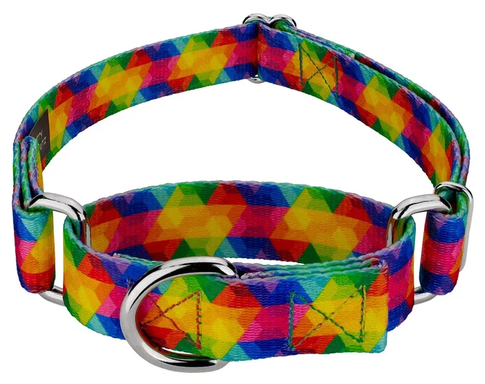 Country Brook Petz – Kaleidoscope Martingale Dog Collar – Groovy Collection Featuring Far Out Designs (1 Inch, Extra Large)