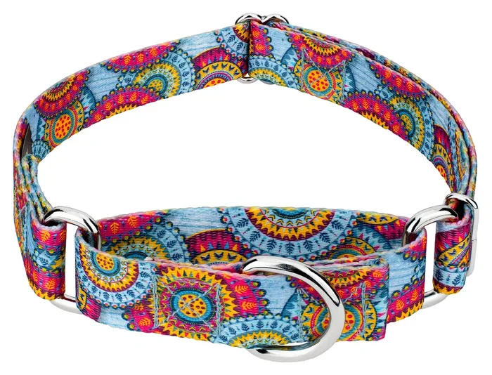 Country Brook Petz – Sky Mandala Martingale Dog Collar – Groovy Collection Featuring Far Out Designs (1 Inch, Extra Large)