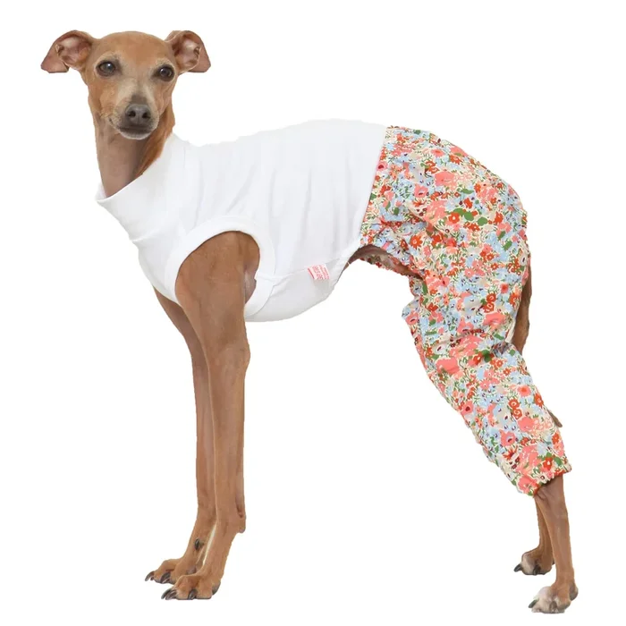 D DOGGY STAR Italian Greyhound Clothes Mombbe Onesie Outfit Whippet for Dog Coat (S,Mombbe Orange)