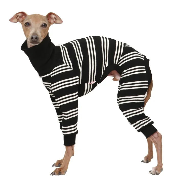 D Doggy Star Italian Greyhound Clothes Soft Stretchy Onesie Refined Stripe Outfit Whippet For Dog Coat (2Xl,Onsi Ivory Str)