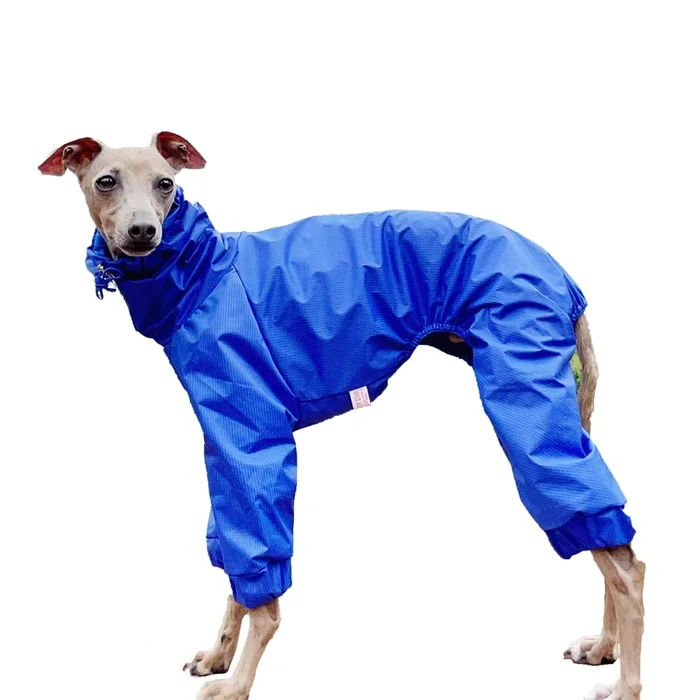D Doggy Star Italian Greyhound Raincoat Waterproof Jacket Windbreaker Clothes Whippet For Dog (Xl,Raincoat Blue)