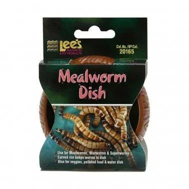 Lee’s Curved Wall Mealworm Dish