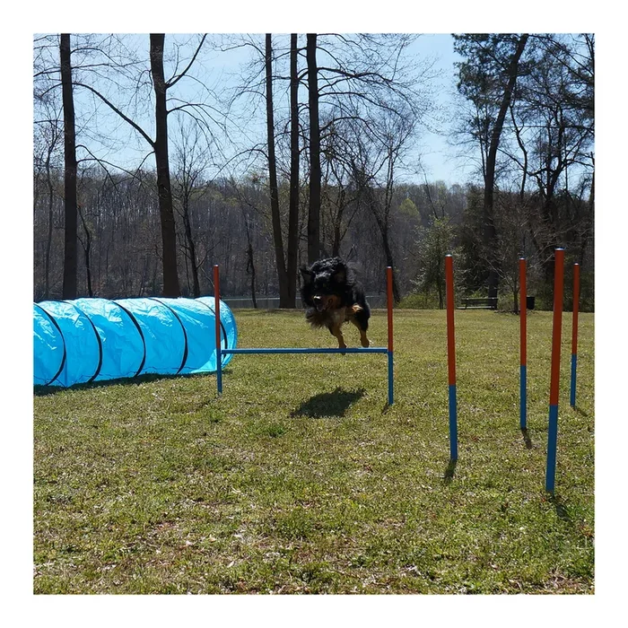 Lord Anson Dog Agility Set – Dog Agility Equipment – 1 Dog Tunnel, 6 Weave Poles, 1 Dog Agility Jump – Canine Agility Set For Dog Training, Obedience, Rehabilitation