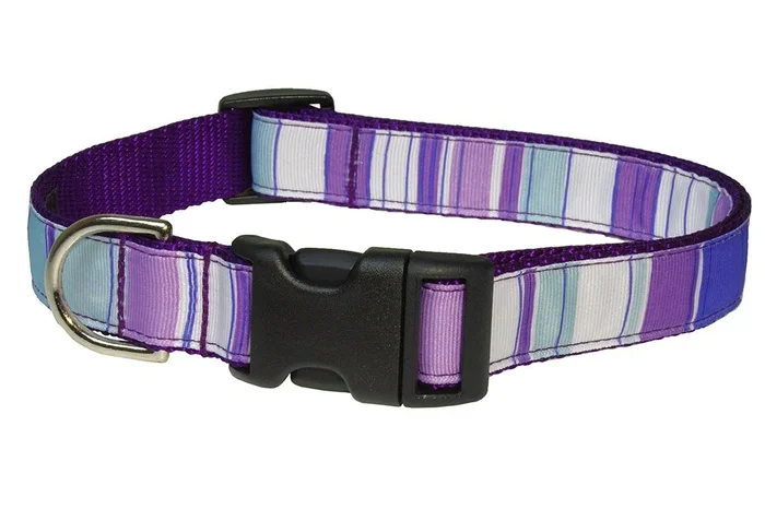 Medium Purple/Multi Stripe Dog Collar: 3/4 Wide, Adjusts 13-20 – Made in USA.