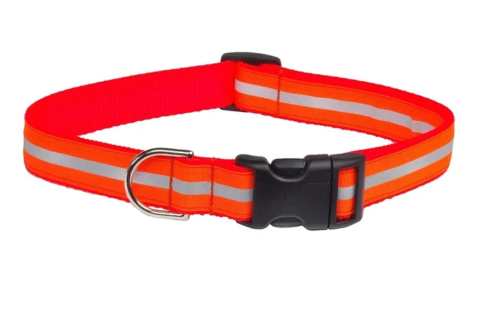 Medium Reflective Neon Orange Dog Collar: 3/4 Wide, Adjusts 13-20 – Made in USA.