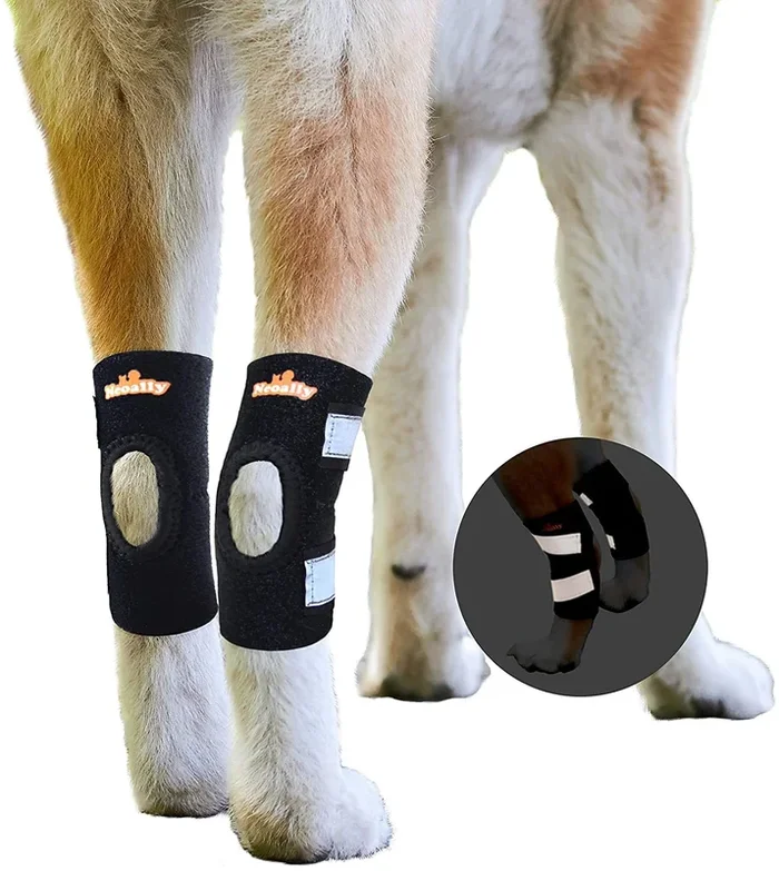 NeoAlly Cat and Dog Ankle Brace Pair Canine Rear Leg Hock Support with Safety Reflective Straps for Hind Leg Wounds Heal and Inj