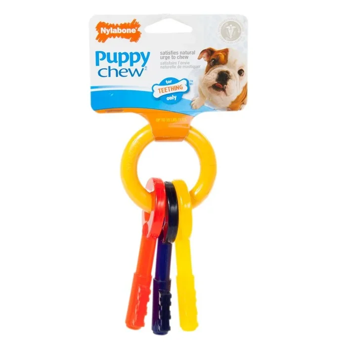 Nylabone – Teething Keys Puppy Chew Toy