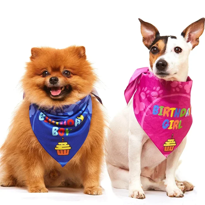 Odi Style Dog Birthday Bandana – 2 Pack Boy Girl Bandanas For Dogs Puppy Birthday Party Decorations, Small