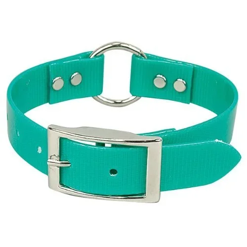Omnipet Sunglo Ring-In-Center Dog Collar, 1′ Wide, Green, Fits 16′- 19.5′ Neck Sizes, Vibrant Colors & Tough Construction For