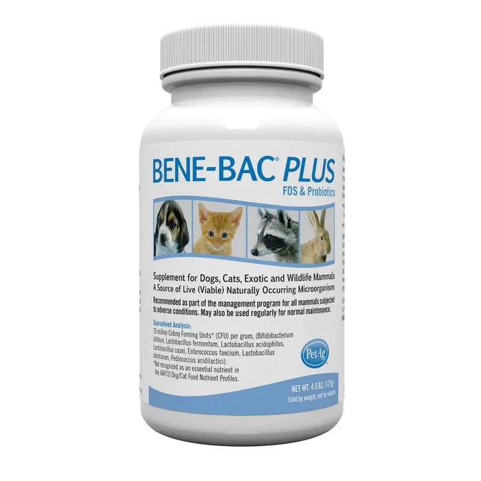 Pet-Ag Bene-Bac Plus – 4.5 oz Powder – FOS & Probiotics for Dogs, Cats, Exotic & Wildlife Mammals