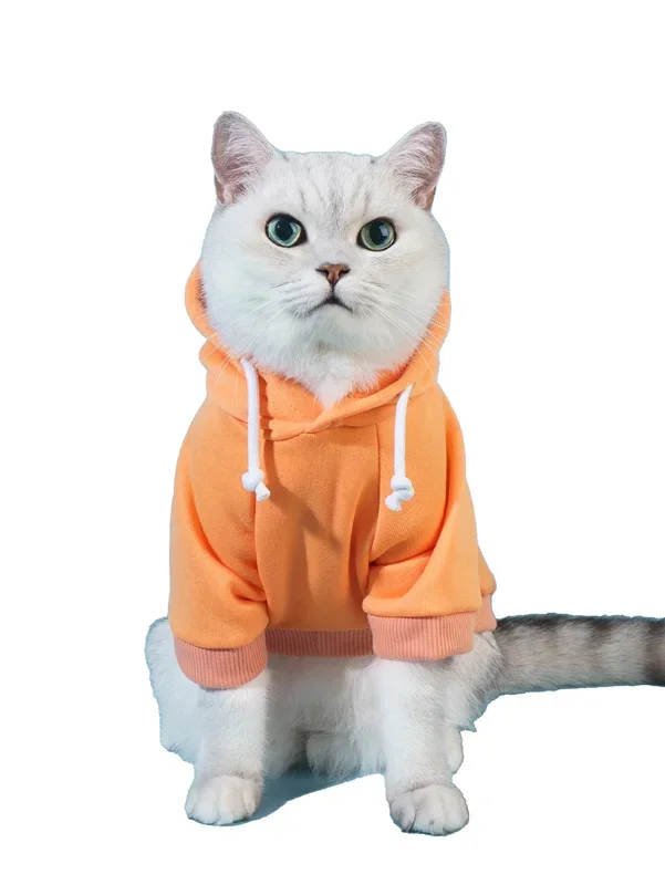 Qwinee Basic Dog Hoodie, Dog Warm Jacket, Cat Apparel, Dog Shirt, Dog Clothes For Puppy Kitten Small Medium Dogs Cats Orange Xl