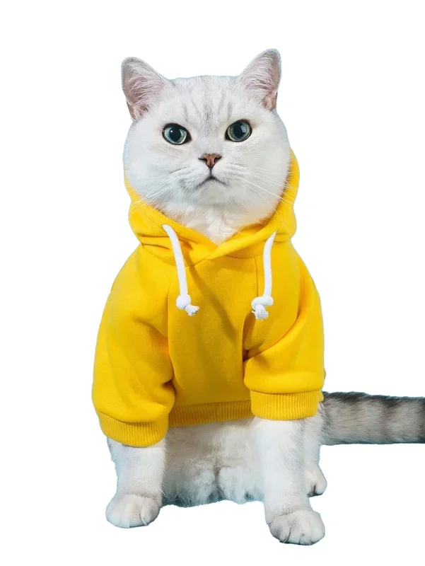 Qwinee Basic Dog Hoodie, Dog Warm Jacket, Cat Apparel, Dog Shirt, Dog Clothes For Puppy Kitten Small Medium Dogs Cats Yellow M