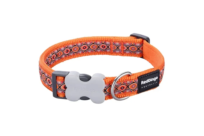Red Dingo Snake Eyes Dog Collar, Orange, 15mm