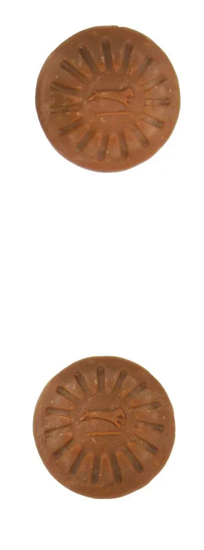 Starmark Everlasting Treat Barbeque Medium 3.6oz MD