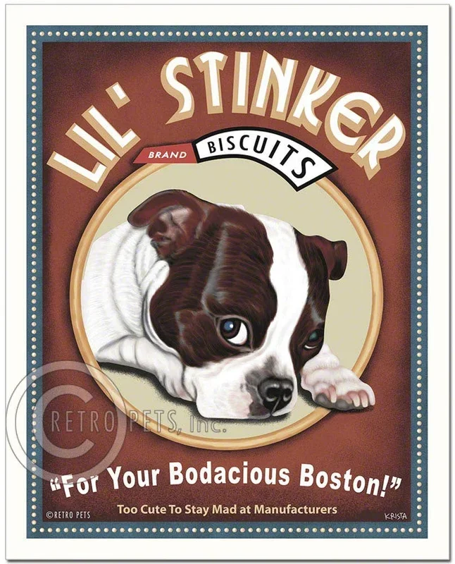 T-105 8×10 Print, Boston Terrier “Lil’ Stinker, Brown/wh”