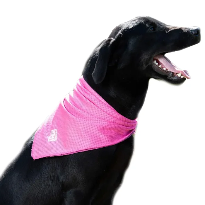 Terrain Dog Cooling Bandana – Cooling Fabric Powered By Coolcore Technology