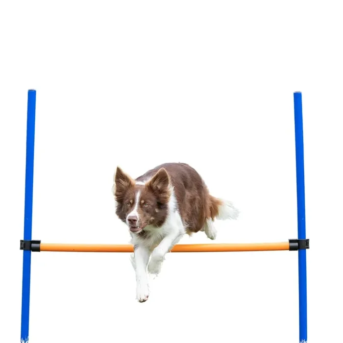 TRIXIE Agility Hurdle Adjustable Dog Jump, Ideal for Beginners & Advanced, Dog Obstacle Course Equipment 1 x Hurdle