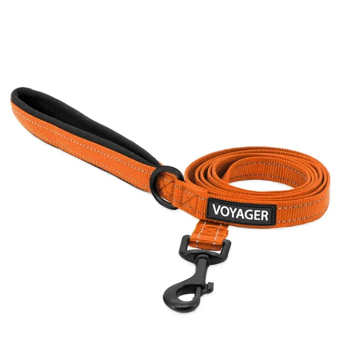 Voyager Reflective Dog Leash With Neoprene Handle, 5Ft Long, Supports Small, Medium, And Large Breed Puppies, Cute And Heavy Duty For Walking, Running, And Training – Orange (Leash), L
