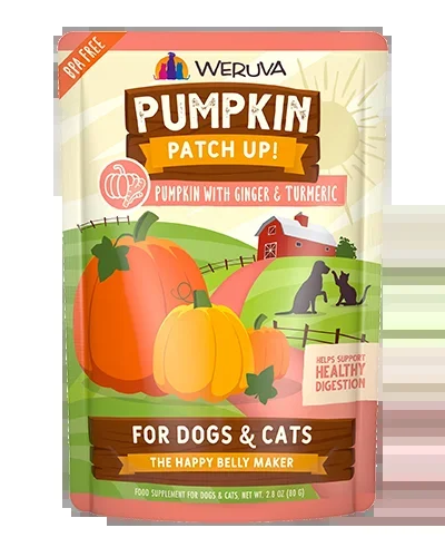Weruva Pumpkin Patch Up with Ginger and Tumeric – 2.8 oz Wet Cat Food
