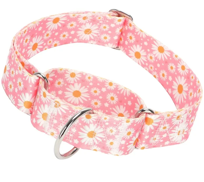 Wide Martingale Collar For Dogs -1.5 Inch Dog Training Collar – Big, & Thick Dog Collar – Escape-Proof, Durable And Comfortable