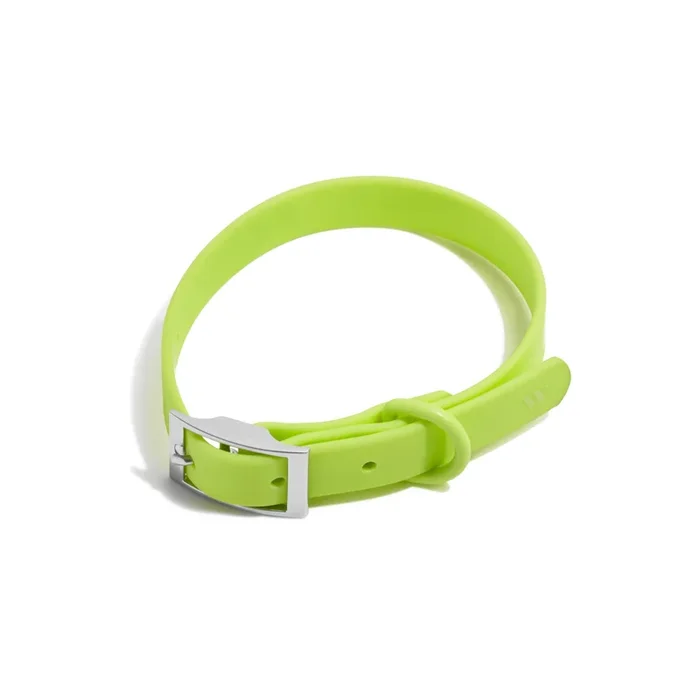 Wild One Dog Collar, Easy-Clean, All Weather Flex-Poly Strap With Metal, Durable, Dirt And Odor Resistant (Limeade, S)