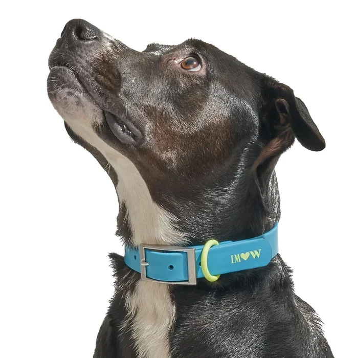 Wild One, Limited Edition, Designer Collection, Blue Dog Collar, Easy-Clean, All Weather Flex-Poly Strap With Metal, Durable, Di