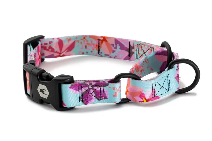 Wolfgang Heavy Duty Martingale Dog Collar With Quick Release Nylon Buckle For Walking & Training, Digifloral Print, Medium
